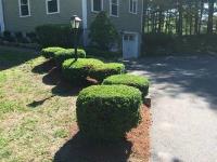 Boston Landscaping Services image 5